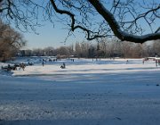 Schaatsen op de Klinkenbeltskolk, Deventer  (c) Henk Melenhorst : sneeuw, winter